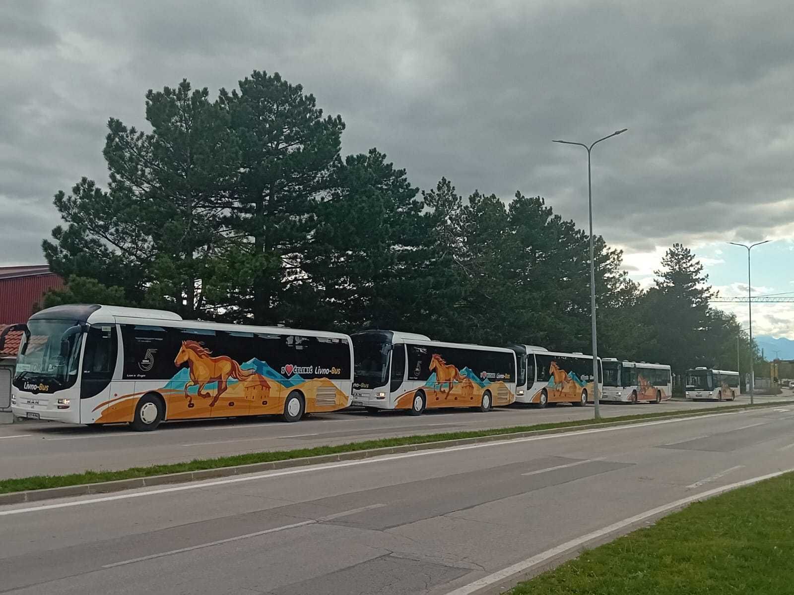 Autobusi Livno Busa parkirani u nizu uz cestu.
