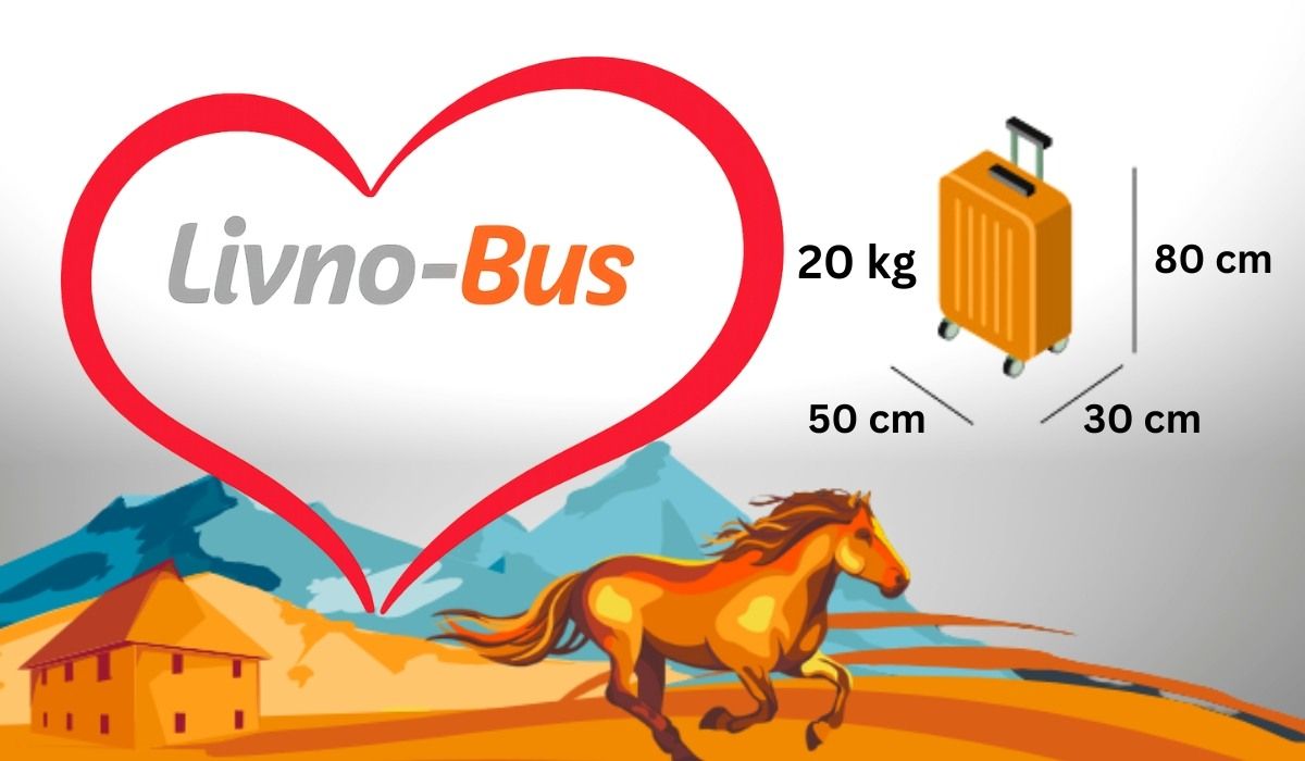 Infografika s pravilima za putnu prtljagu u autobusu, uključujući maksimalnu težinu od 20 kg i dimenzije kofera