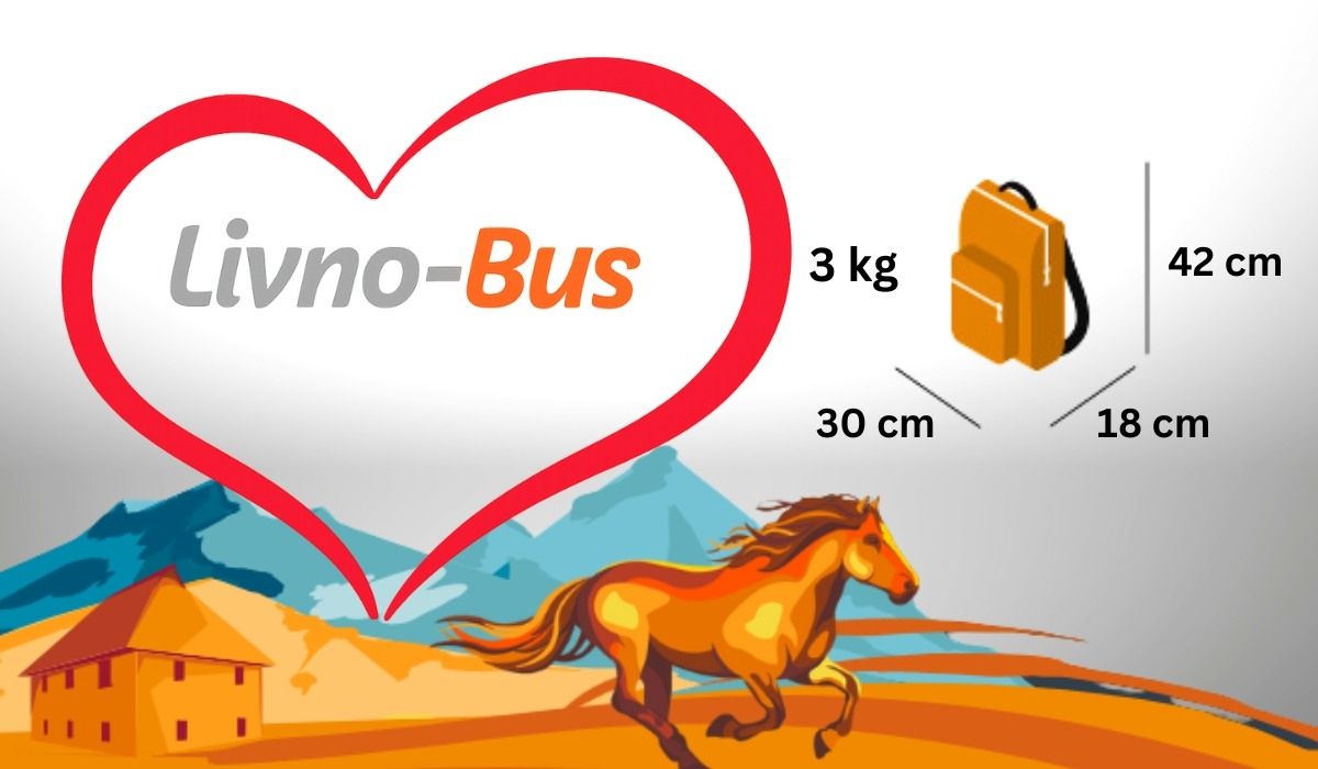 Infografika s pravilima za ručnu prtljagu u autobusu, uključujući maksimalnu težinu od 3 kg i dimenzije ruksaka